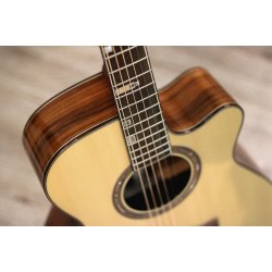 Fonzo V-201S OM Cutaway